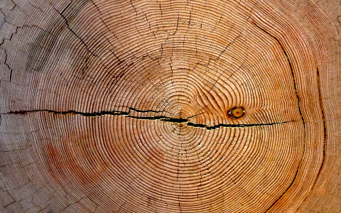 contact_avec_le_temps